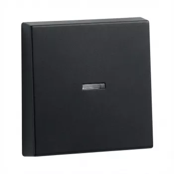 Jungiklių svirtelės, skirtos Gira System 55 valdymo rėmui, modelis 290005 (Wippe Kontrollf.)