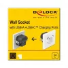 DeLOCK 11489 Kištukinis lizdas CEE 7/3 + USB Baltas 250V 16A