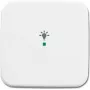Busch-Jaeger 6220-0-0080 Cover Plate for Sensor Holder & -Socket White (2CKA006220A0080)