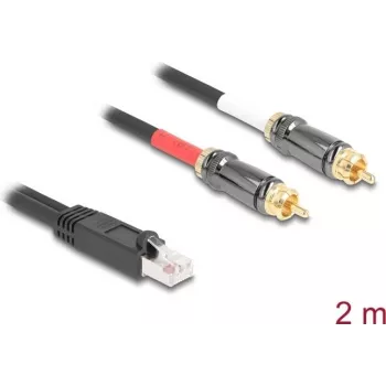 DeLOCK garso kabelis 2 m RJ-45 2 x RCA juodas 88171
