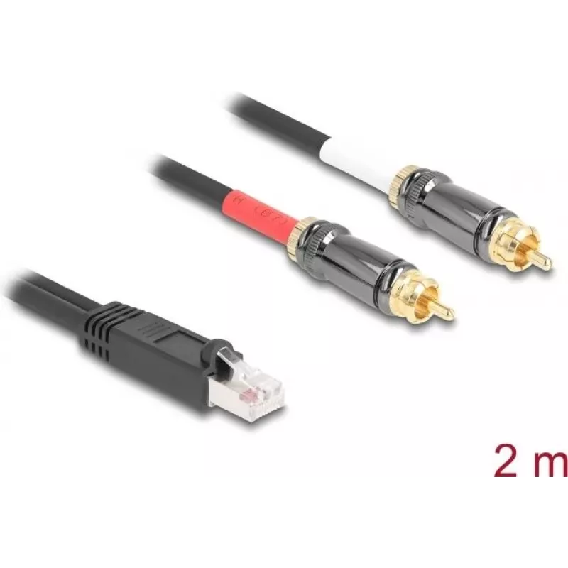 DeLOCK garso kabelis 2 m RJ-45 2 x RCA juodas 88171