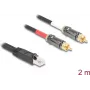 DeLOCK garso kabelis 2 m RJ-45 2 x RCA juodas 88171