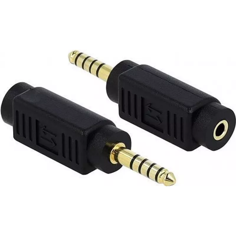 Jungties adapteris DeLOCK 65994
