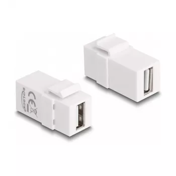 DeLOCK Keystone modulis USB 2.0 A lizdas į USB 2.0 A lizdą baltas