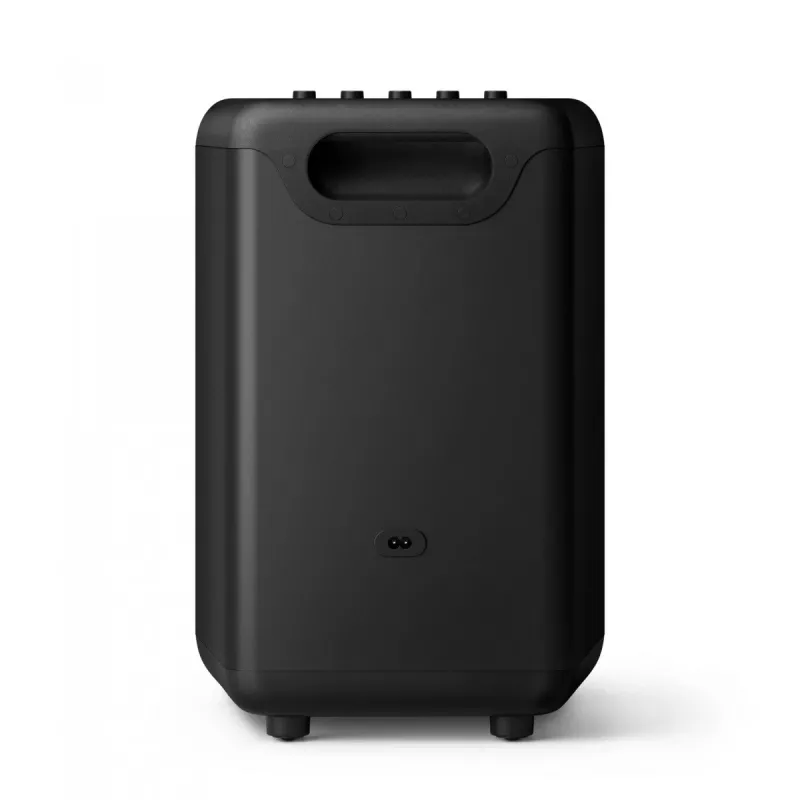 Garsiakalbis TAX3206/10, 10W