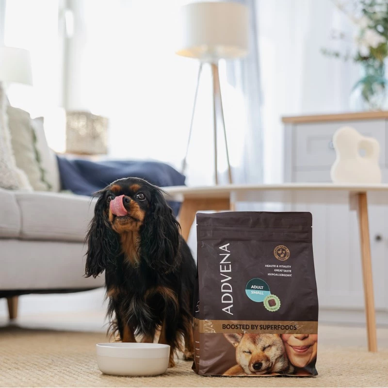 ADDVENA Boosted by superfoods Adult Small Beef - sausas šunų ėdalas - 10 kg