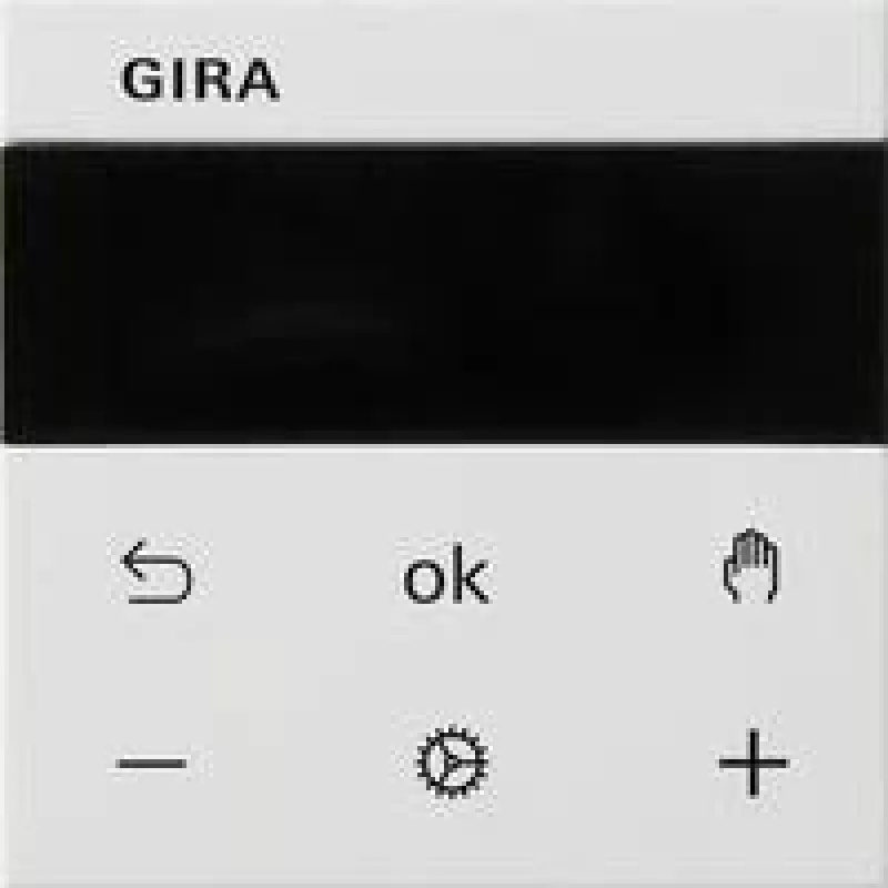 Gira 539327 Ekranas