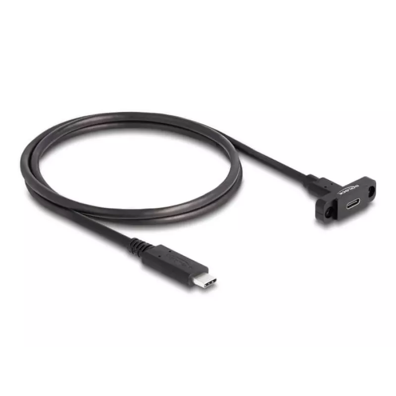 DeLOCK SuperSpeed USB 10 Gbps kabelis USB Type-C kištukas į lizdą 1 m juodas