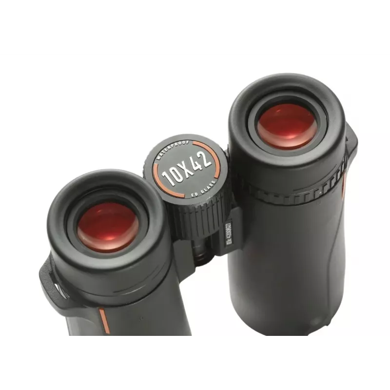 Žiūronai EYESKEY Wave 10x42 — 10× didinimas, 42 mm objektyvas, BaK-4 prizmė, 106 m/1000 m matymo laukas
