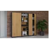 Topeshop OLIV 2D ANT/ART KPL biuro knygų spinta