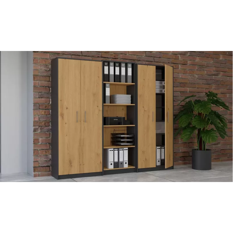 Topeshop OLIV 2D ANT/ART KPL biuro knygų spinta