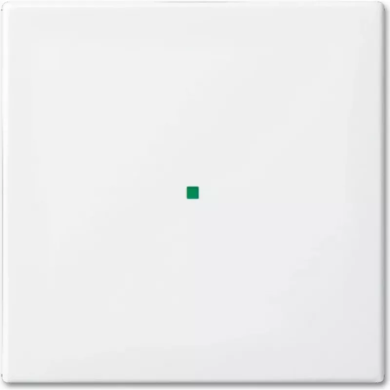 Busch-Jaeger 6230-10-914 Baltas