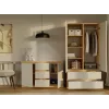 MALWA SS-90 wardrobe artisan ąžuolas/kašmyro