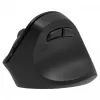 Ergonominė dešiniarankė belaidė pelė, dviguba WL+BT