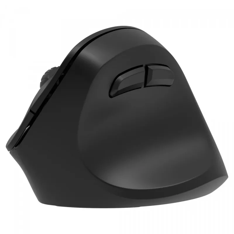 Ergonominė dešiniarankė belaidė pelė, dviguba WL+BT