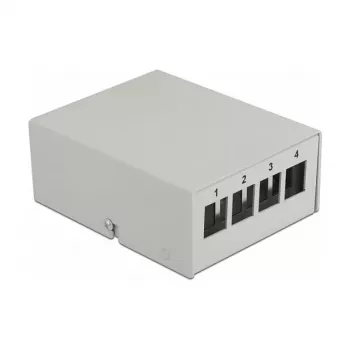 Keystone Patch Panel DeLOCK 43407 4 Port Pilka