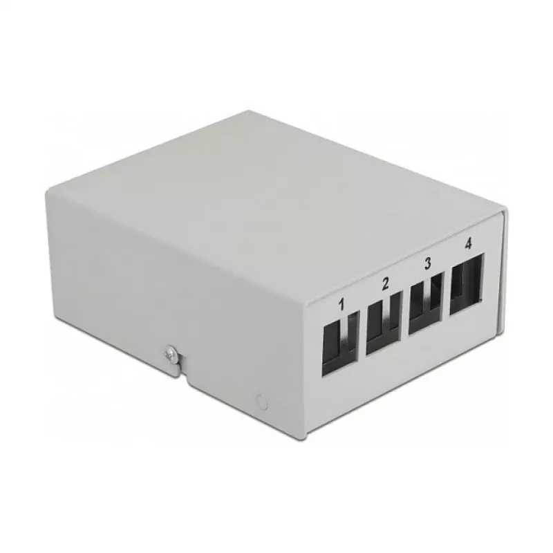 Keystone Patch Panel DeLOCK 43407 4 Port Pilka