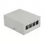 Keystone Patch Panel DeLOCK 43407 4 Port Pilka