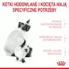 Sausas kačių maistas Royal Canin Mother & Babycat 400 g — Paukštiena, nėščioms ir žindančioms katėms bei jauniems kačiukams