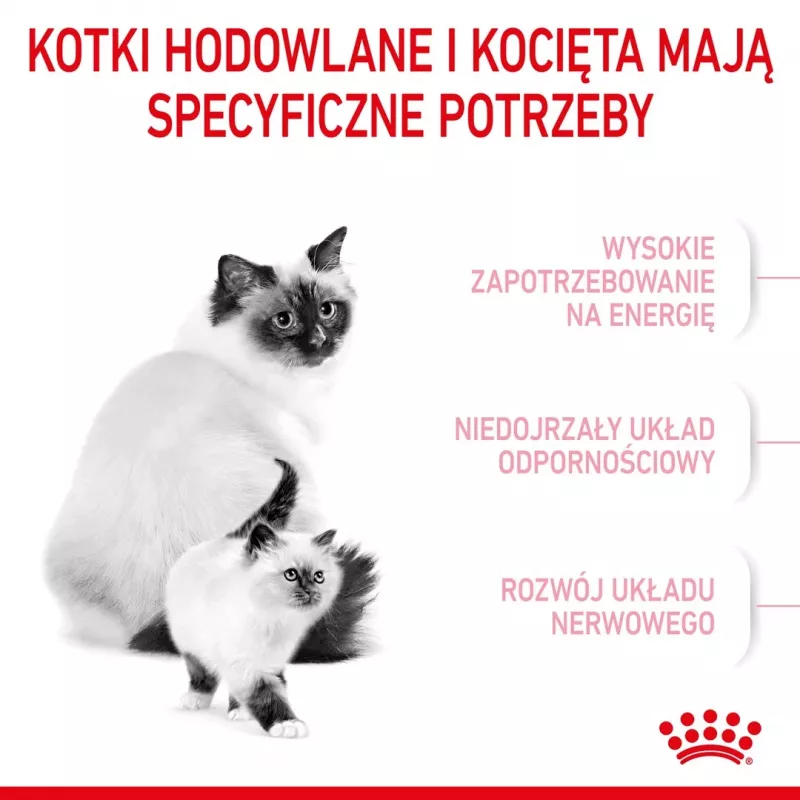 Sausas kačių maistas Royal Canin Mother & Babycat 400 g — Paukštiena, nėščioms ir žindančioms katėms bei jauniems kačiukams