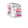 Šlapias šunų maistas Royal Canin Exigent Meat Universal 12×85 g — Paukštiena, suaugusiems šunims, išrankiems šunims