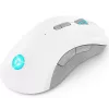 Žaidimų pelė Lenovo Legion M600 RF Wireless + Bluetooth + USB Type-A, abiem rankoms tinkama, 16000 DPI, 9 mygtukai, įkraunama