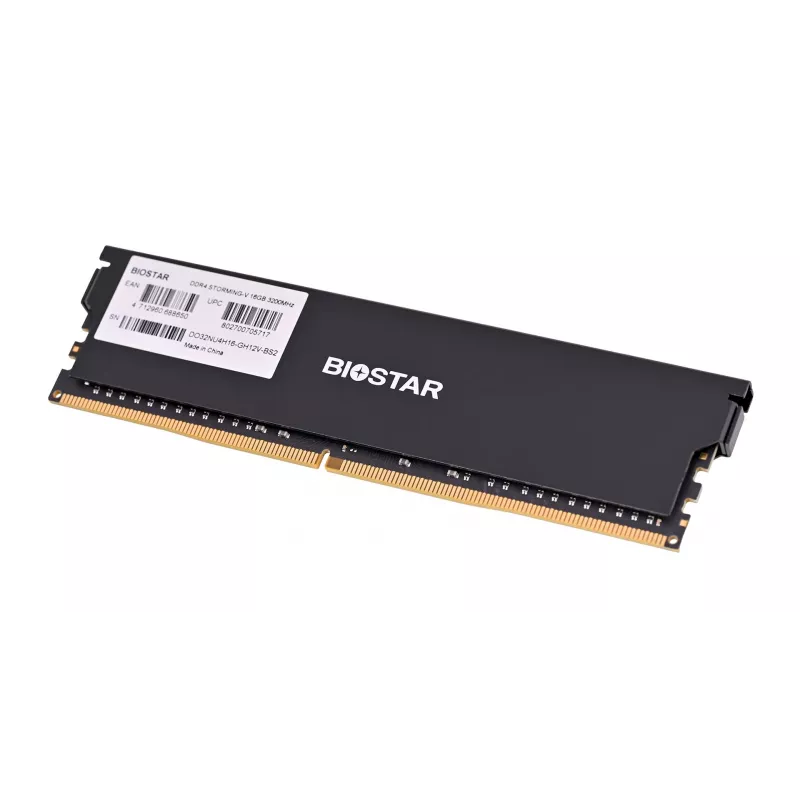 Stalinio kompiuterio DDR4 RAM BIOSTAR 16 GB 3200 MHz su radiatoriumi (modelis DO32NU4H16)