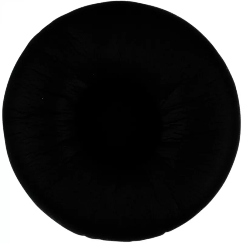 Ausinių pagalvėlė EPOS HZP 25 DW 10