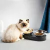 Dubens šunims ir katėms Petkit Fresh Nano