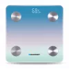Asmeninės svarstyklės BLAUPUNKT BSM601BT