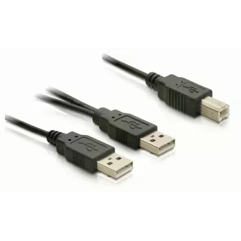 USB laidas DeLOCK USB-B/USB-A laidas 1 m juodas