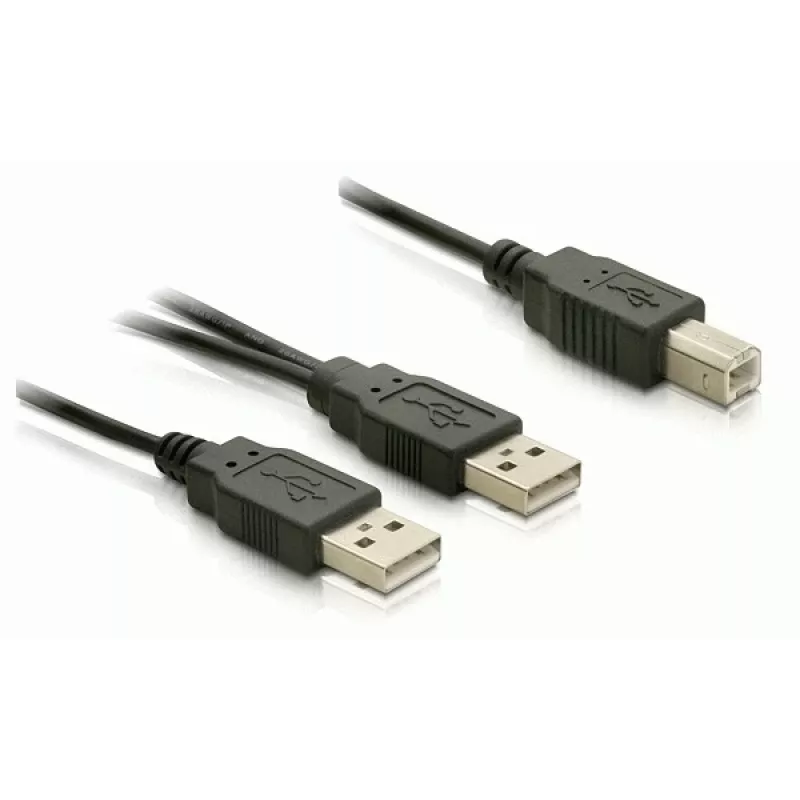 USB laidas DeLOCK USB-B/USB-A laidas 1 m juodas