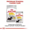 ROYAL CANIN Mini Dermacomfort - sausas maistas suaugusiems mažų veislių šunims, turintiems jautrią, sudirgimui linkusią odą - 3kg