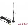 Lauko antena DeLOCK 89613