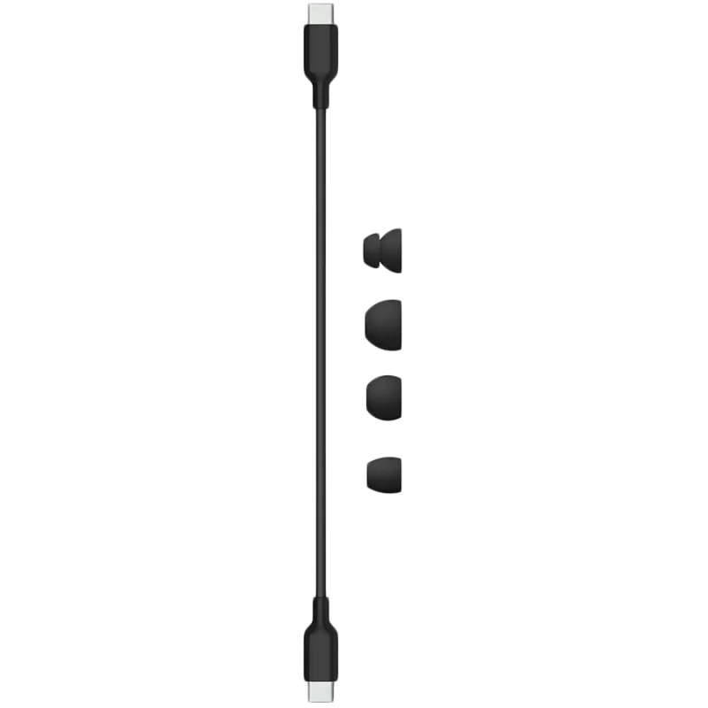 Apple Beats Flex ausinės