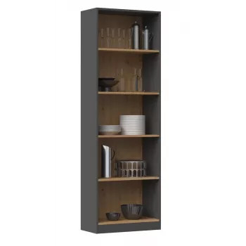 Topeshop R60 ANT/ART biuro knygų spinta