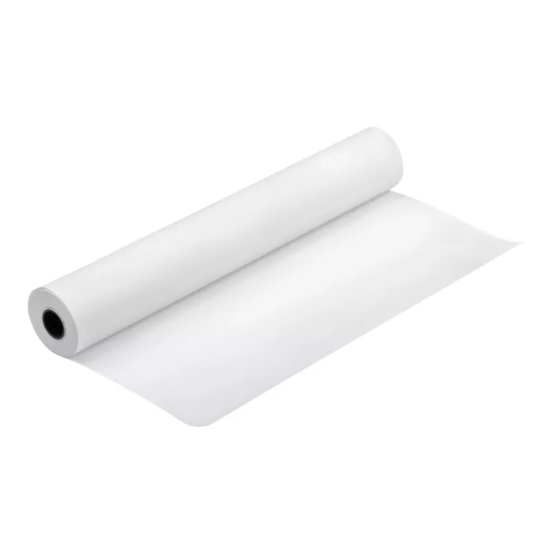 Epson Production Canvas Matte, 610mm x 12,2m, 12,2 m, 61 cm, 61 cm (24 col.), matinis, 320 g/m²