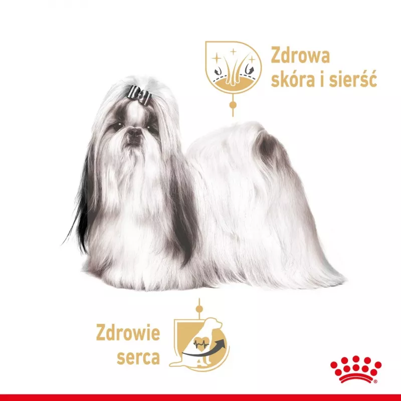 ROYAL CANIN Shih Tzu suaugusiems šunims šlapias ėdalas paštetas 12x85 g