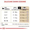 Sausas kačių maistas Royal Canin Maine Coon Kitten 2 kg — paukštiena, baltymai 36%, riebalai 23%