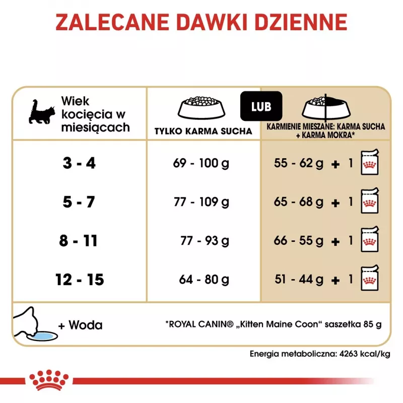 Sausas kačių maistas Royal Canin Maine Coon Kitten 2 kg — paukštiena, baltymai 36%, riebalai 23%