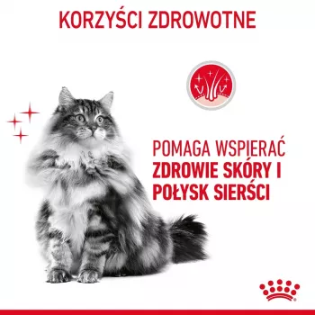 Royal Canin Hair & Skin Care Adult sausas kačių ėdalas, 2 kg
