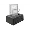 DeLOCK 63957 saugojimo įrenginio prijungimo stotelė USB 3.2 Gen 2 (3.1 Gen 2) Type-C juoda
