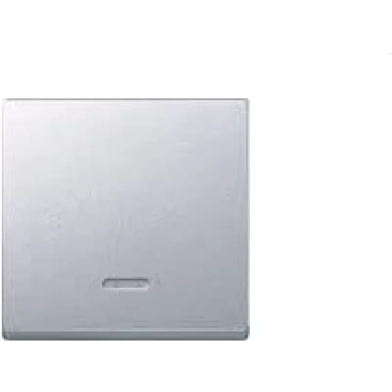 Merten 431060 šviesos jungiklis aliuminis (431060)