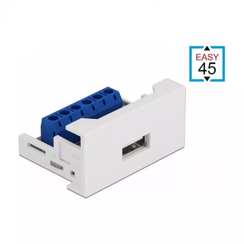 USB 2.0 Type-A moteriška jungtis prie gnybtų bloko DeLOCK Easy 45 modulis