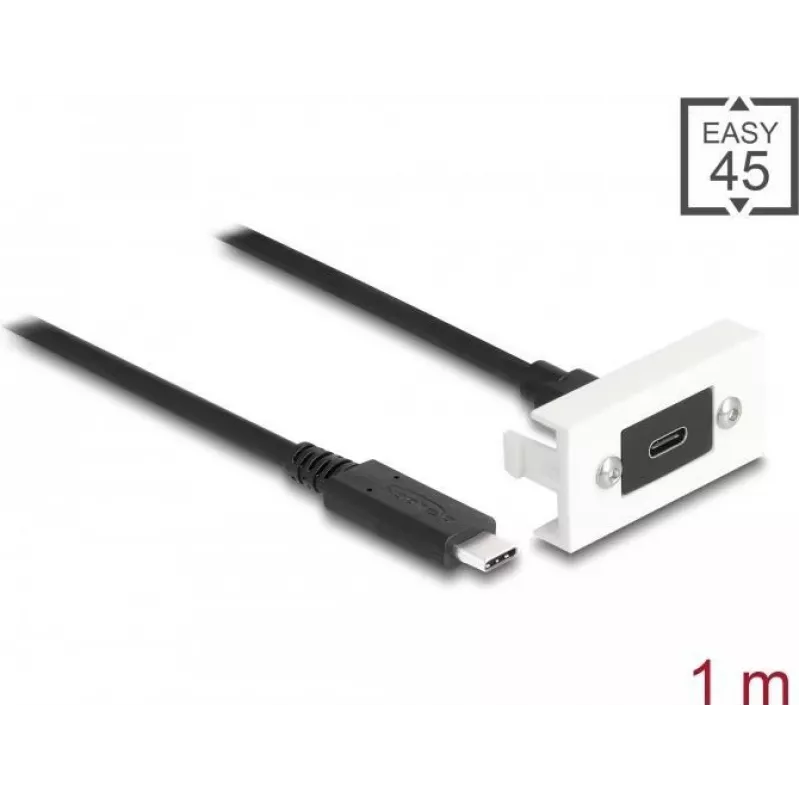 DeLOCK Easy 45 modulis SuperSpeed USB 10 Gbps USB Type-C lizdas į USB Type-C kištuką 1m
