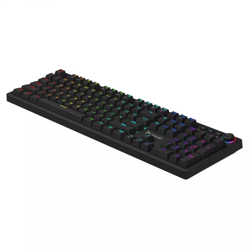 Mechaninė žaidimų klaviatūra SAVIO STYX Outemu Blue Hot-Swap RGB USB QWERTY US International juoda 104 klavišų pilno dydžio