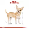 Sausas šunų maistas Royal Canin Chihuahua Adult 1,5 kg — Vištiena, 28% baltymų, maža/labai maža veislė