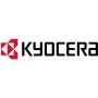 KYOCERA Life Plus 1 licencija 3 metai