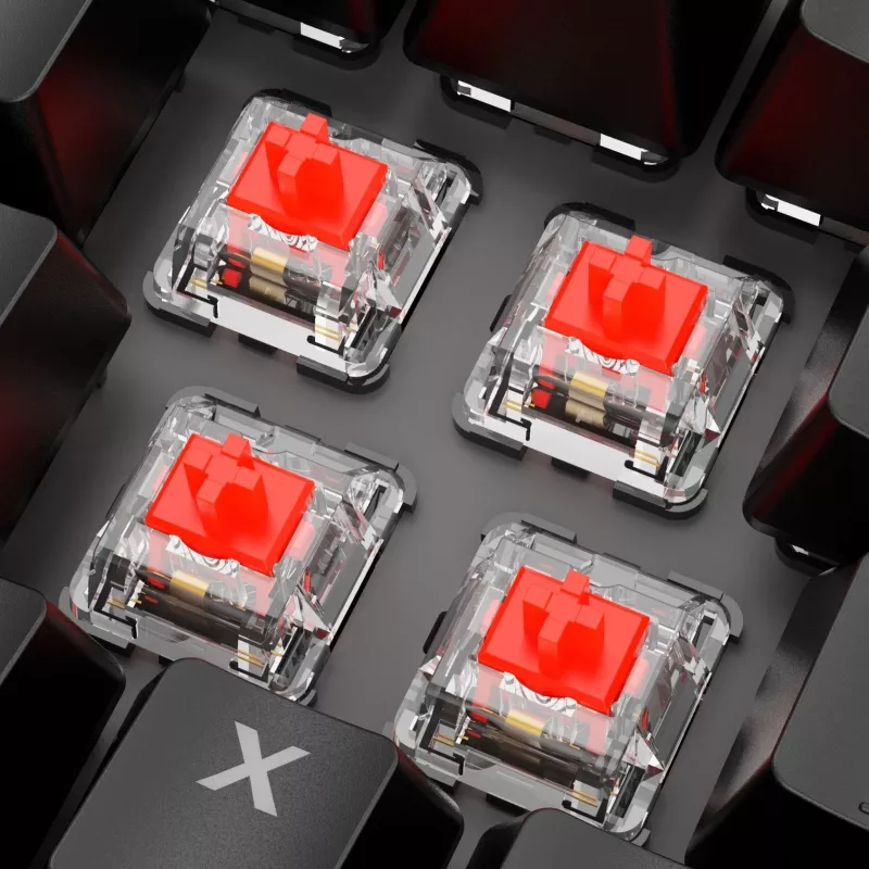 Klaviatūra Sharkoon SKILLER SGK20 Red