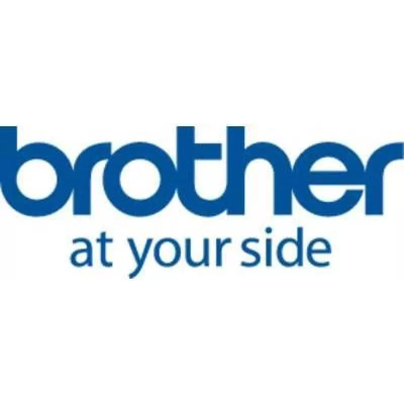 Brother TZE231 x 10 White